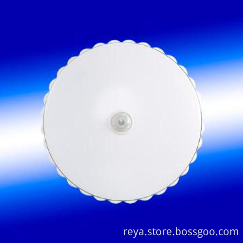 Body Induction lamp